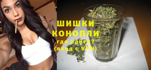 гидропоника Каменка
