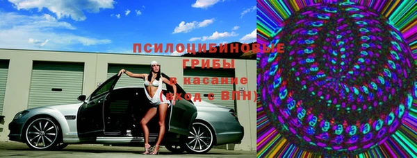 ПСИЛОЦИБИНОВЫЕ ГРИБЫ Алексеевка