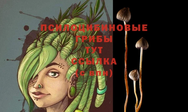 марки nbome Алексин