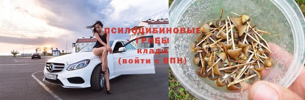 ПСИЛОЦИБИНОВЫЕ ГРИБЫ Алексеевка