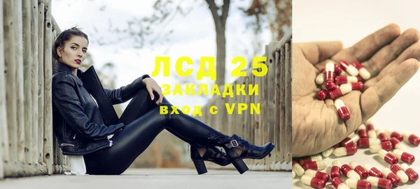 ПСИЛОЦИБИНОВЫЕ ГРИБЫ Алексеевка